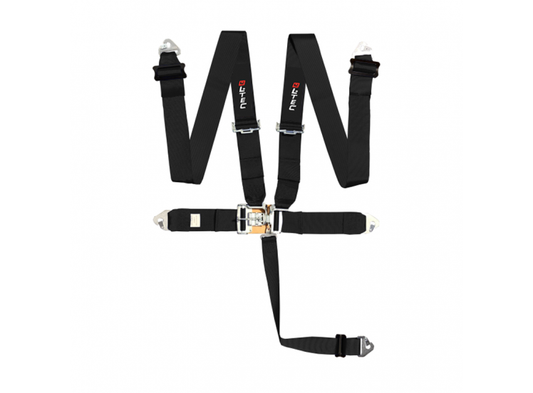 LTEC - 5 PUNTS GORDEL NASCAR